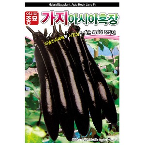 가지씨앗종자 아시아 흑장가지 (2000립)