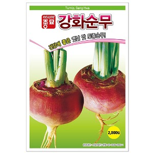무씨앗종자 강화순무(2000립)