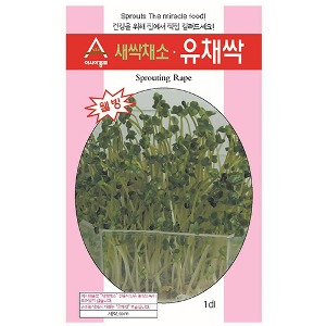 새싹씨앗종자 유채싹(30g/1kg) 새싹채소