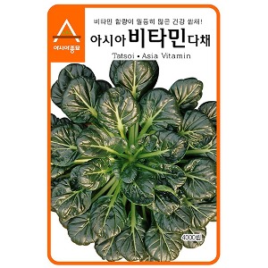 다채씨앗종자 아시아비타민(4000립)