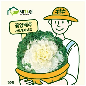 고급꽃씨 꽃양배추 백로즈 백가모메 (20립,1000립)